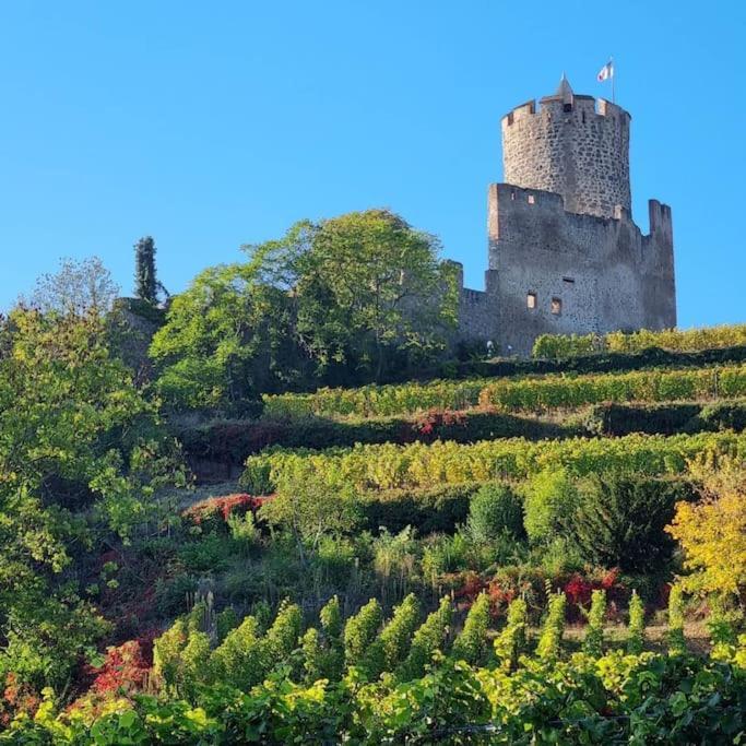 La Jolie Maison Bleue, Au Coeur De L'Alsace Kaysersberg-Vignoble Eksteriør bilde