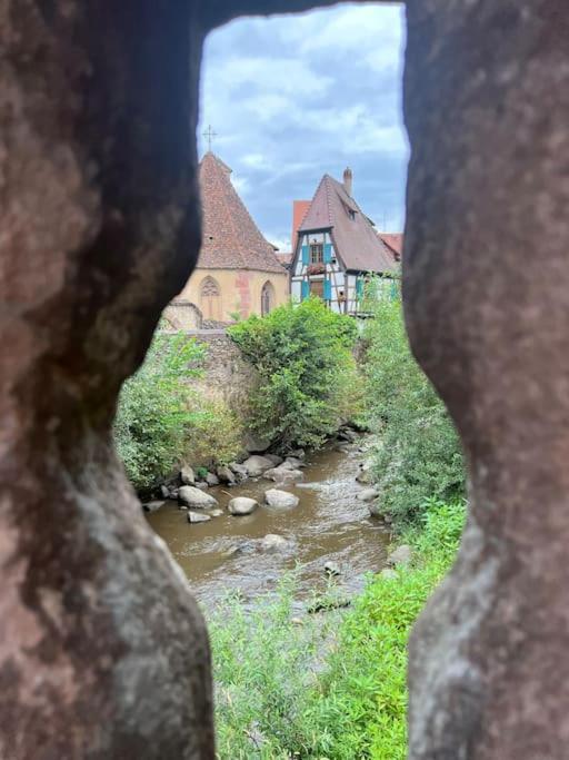 La Jolie Maison Bleue, Au Coeur De L'Alsace Kaysersberg-Vignoble Eksteriør bilde