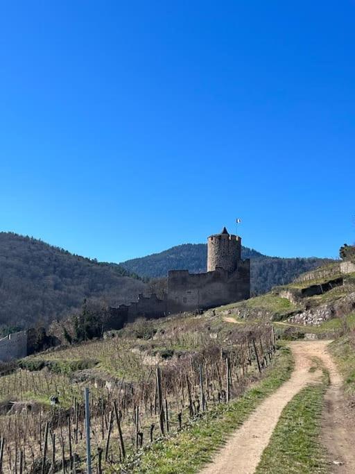 La Jolie Maison Bleue, Au Coeur De L'Alsace Kaysersberg-Vignoble Eksteriør bilde